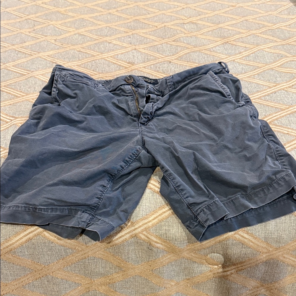 American Eagle Outfitters Dark Blue Flat Front Shorts
